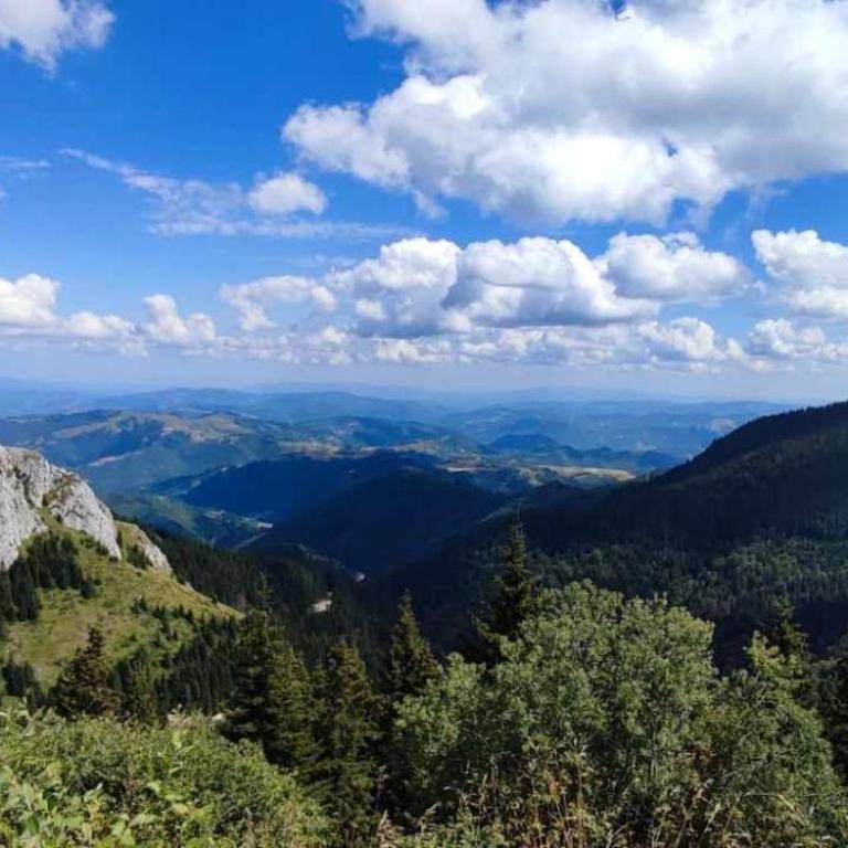 Apartman N Lux 100 Milmari resort - Apartment with Mountain View - 7