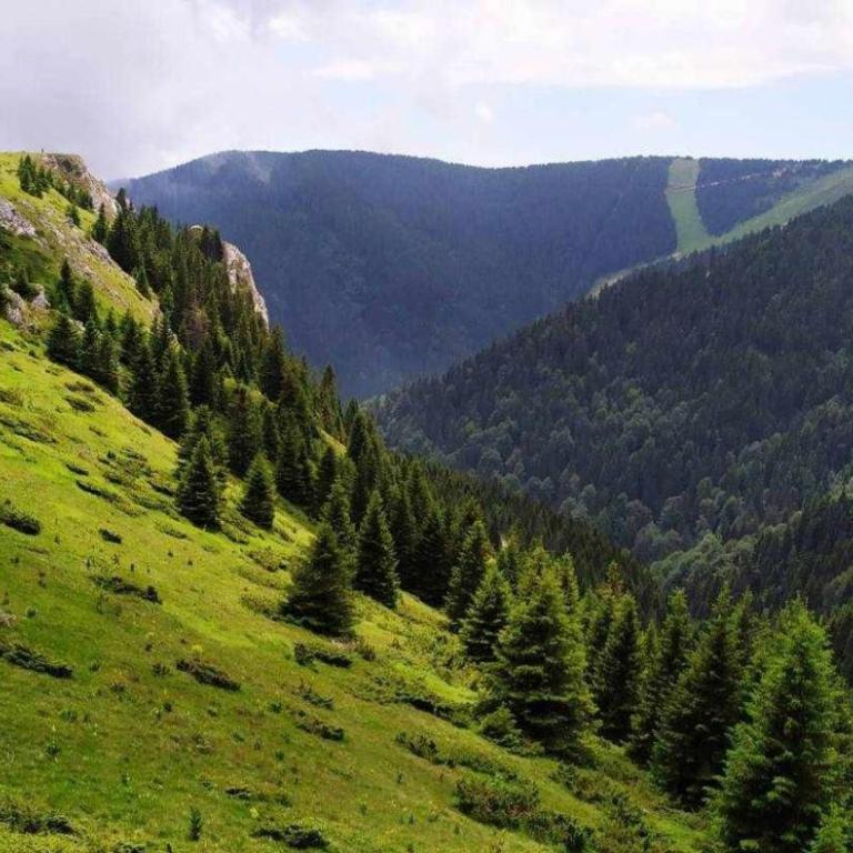 Apartman N Lux 100 Milmari resort - Apartment with Mountain View - 8