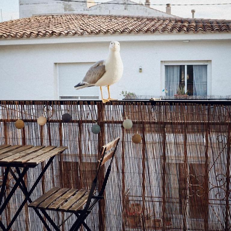 Maison Dya Altea - Apartamento con 4 dormitorios - 17