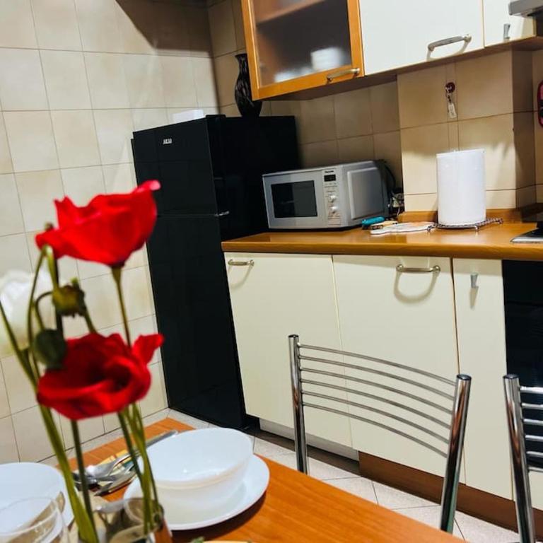 Apartment Albona 77 - Appartement 2 Chambres - 28