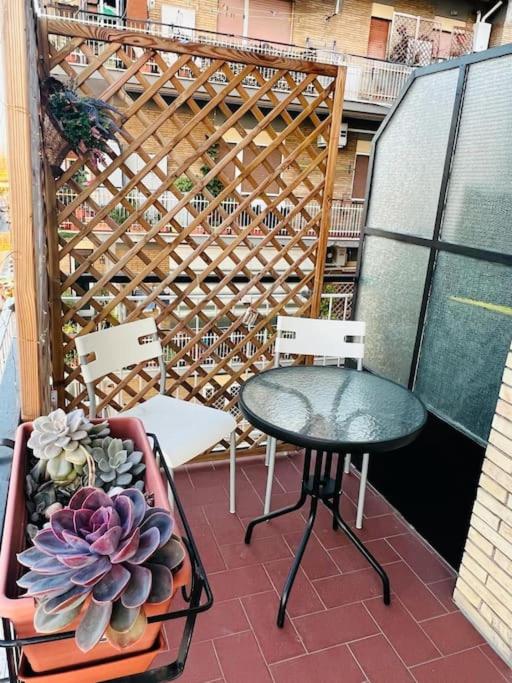 Apartment Albona 77 - Appartement 2 Chambres - 12