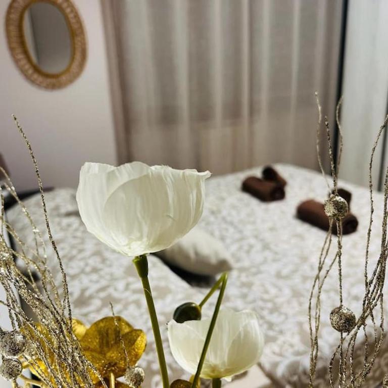 Apartment Albona 77 - Appartement 2 Chambres - 6