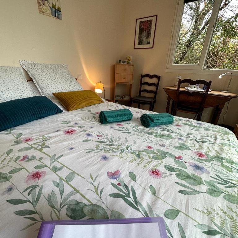 Studio chez Charles et Marie, indépendant de la maison, accès piscine, très calme, - Appartement 1 Chambre - 4