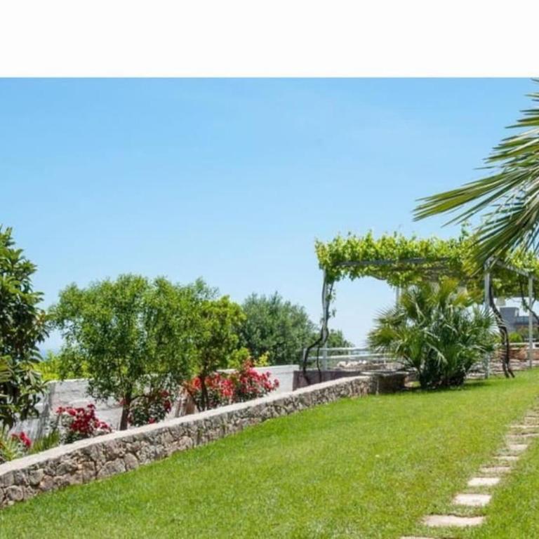 Uliveus - Villa Rossa - Villa con Vista Mare - 8