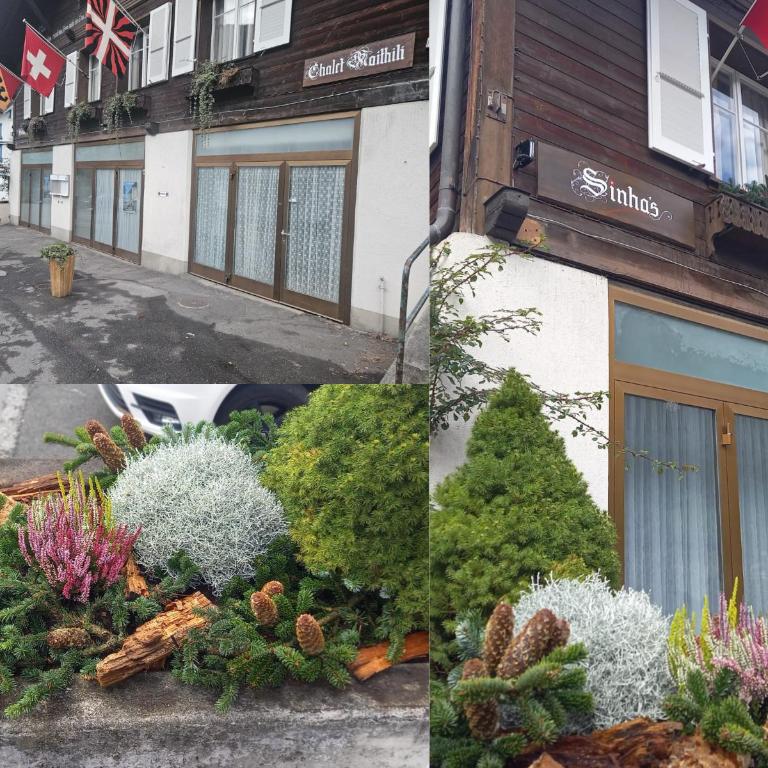 Chalet Maithili Lauterbrunnen -152-Year-Old Majestic Chalet - Chalet - 62