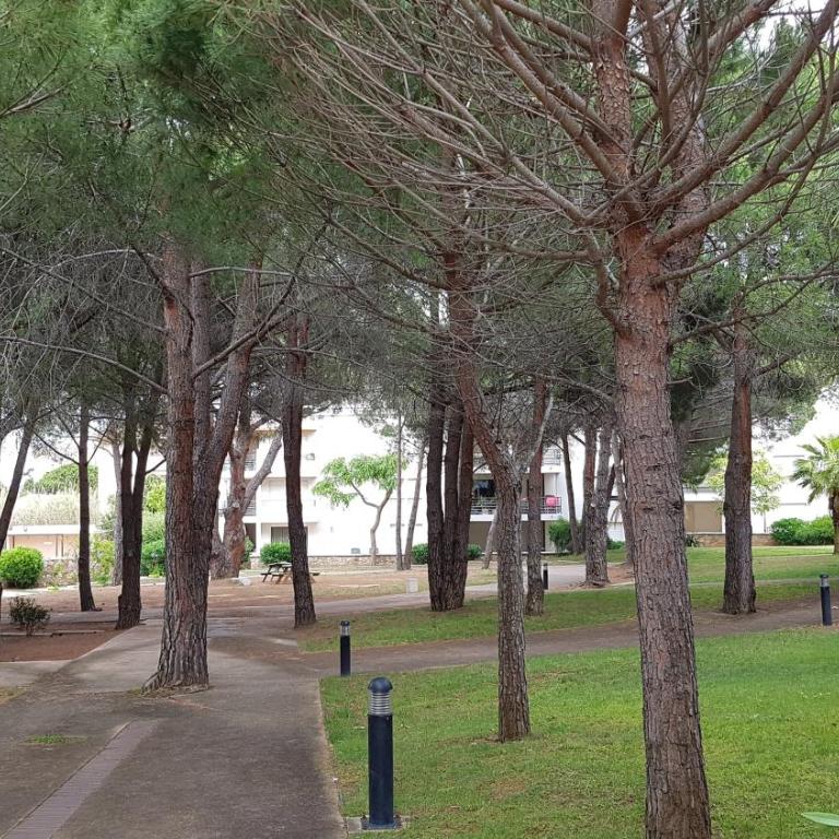 Très beau T3 dans résidence avec piscine à 5 min à pied de la plage et commerces - Appartamento con 2 Camere da Letto - 1