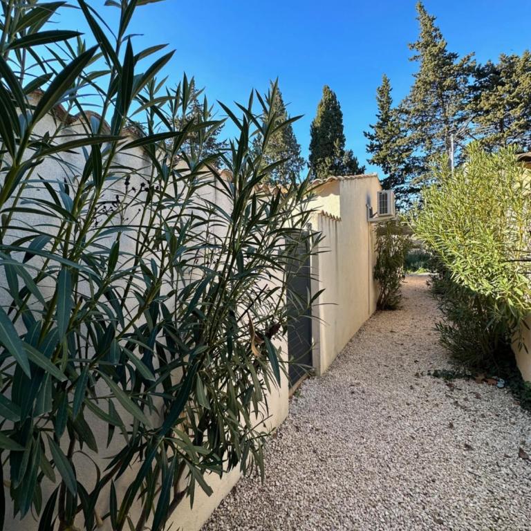 Bastidon Résidence les Alpilles - Maison 1 Chambre - 6