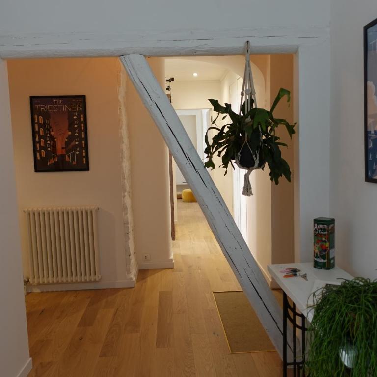 Cavana cosy apartment with garden near the sea - Appartamento con 2 Camere da Letto - 7
