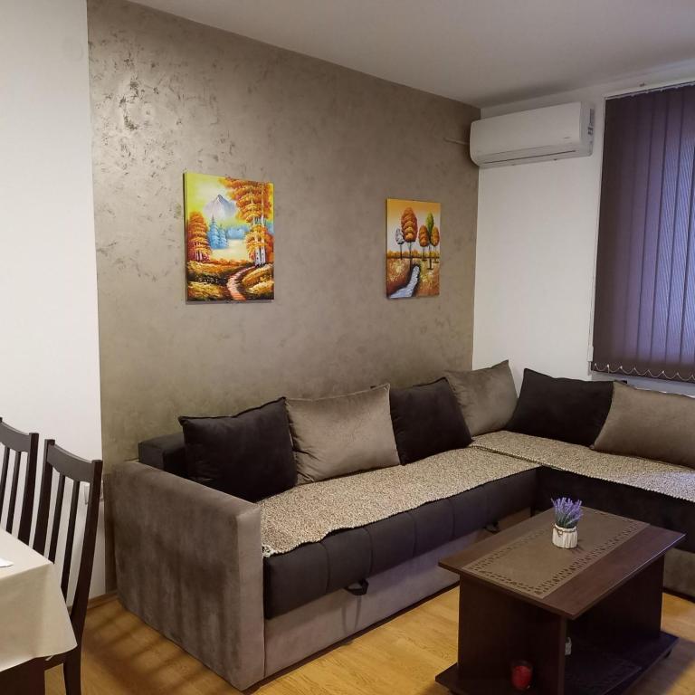 Apartman Andjela - Apartman sa 1 Spavaćom Sobom - 5