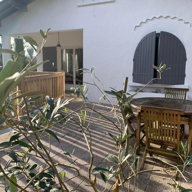 LA PHOCEENNE - Appartement - Rez-de-Chaussée - 1