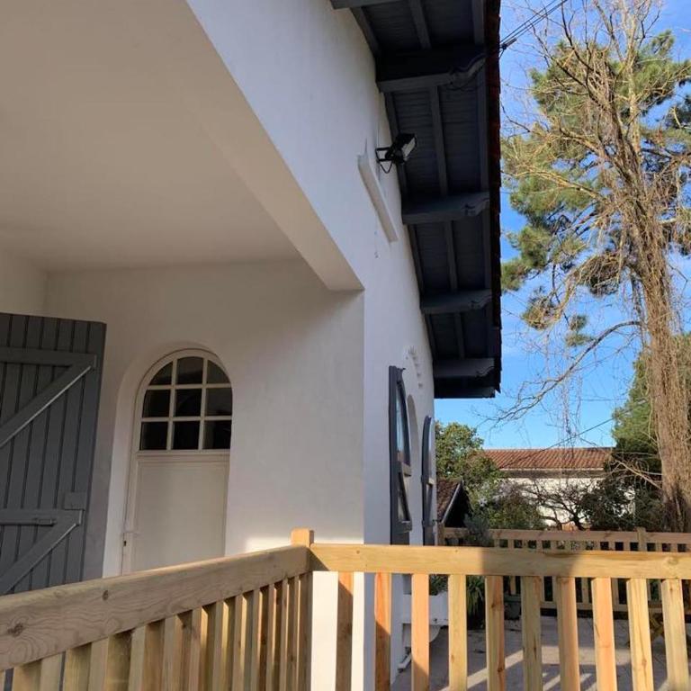 LA PHOCEENNE - Appartement - Rez-de-Chaussée - 2