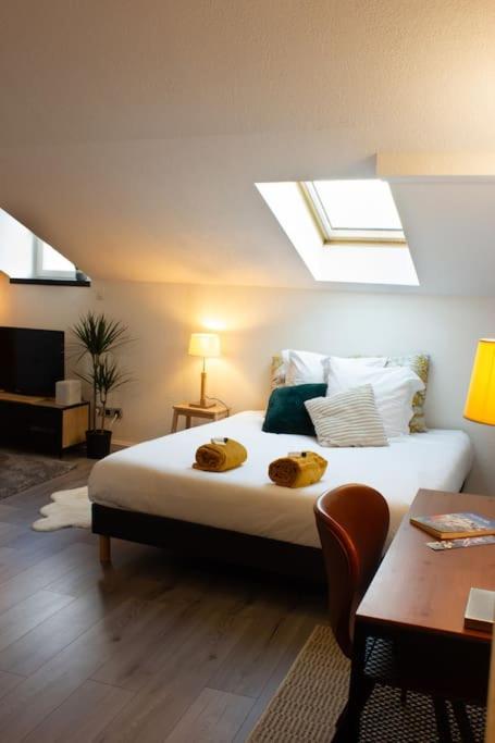 Doux cocon - Grand studio de douceurs - One-Bedroom Apartment - 6