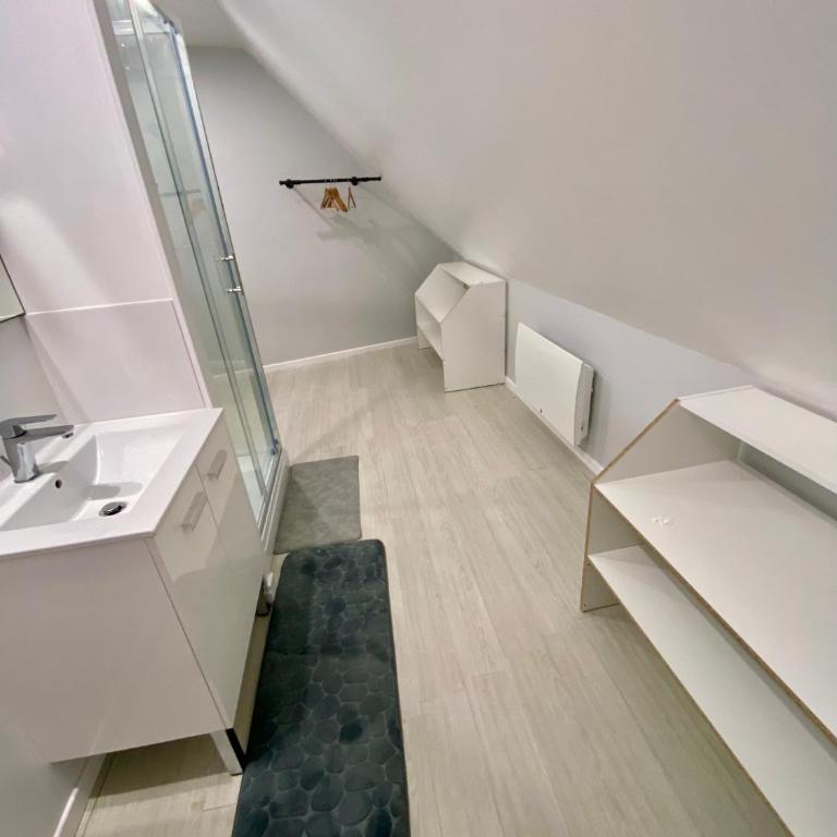 studio indépendant 800 m de la gare du Mans - Appartement 1 Chambre - 12