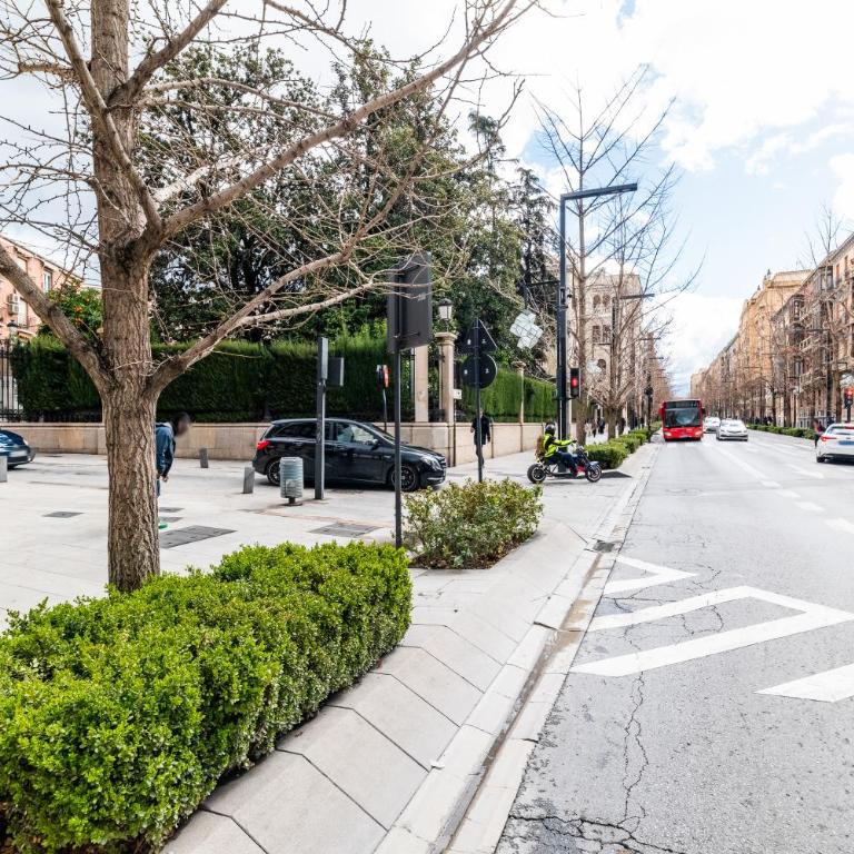 Apartamento en el corazón de Granada junto a Catedral y Arco Elvira - Three-Bedroom Apartment - 39