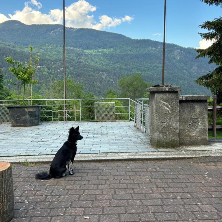 Tana della Volpe - Casa Vacanze - 34