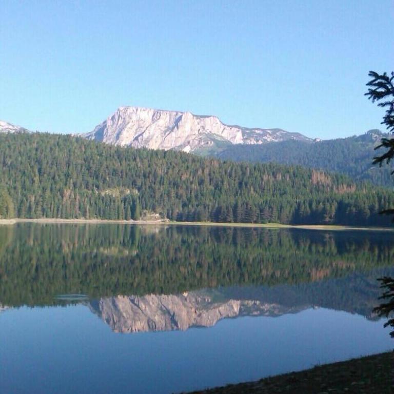 Chalet Hill Zabljak - Cottage with Mountain View - 49