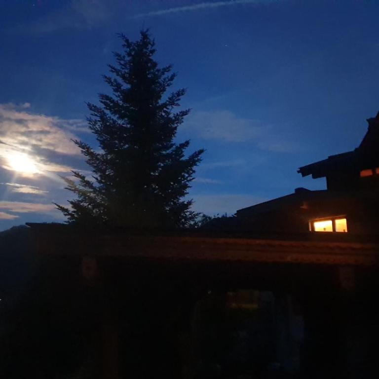 Panoramaplatzl - Chalet mit 2 Schlafzimmern - 21