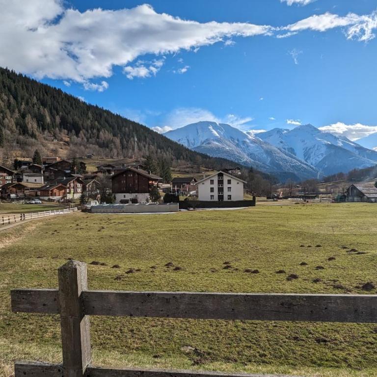 Walliser Stadel - Haus mit 2 Schlafzimmern - 29