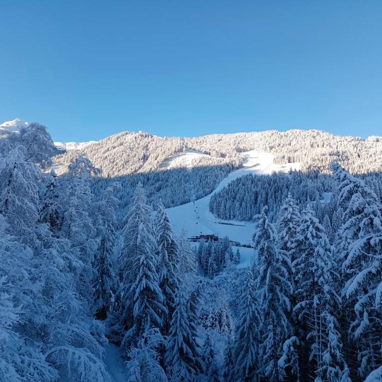 Chalet Leni - Apartment mit Blick auf die Berge - 16