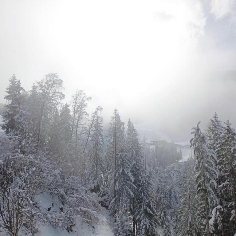 Chalet Leni - Apartment mit Blick auf die Berge - 19