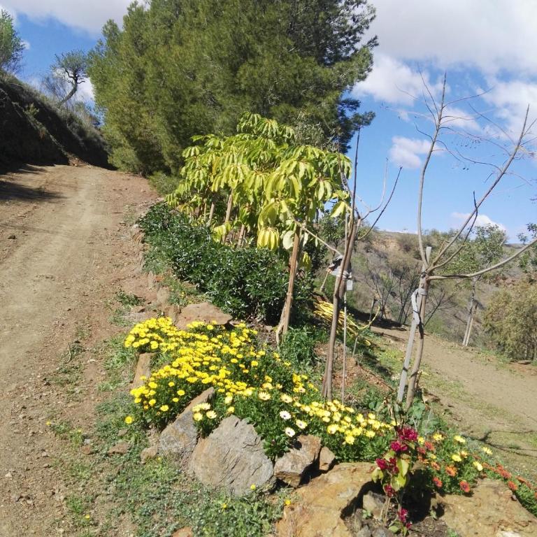 Pinar El Almendra - Casa de 3 dormitorios - 17