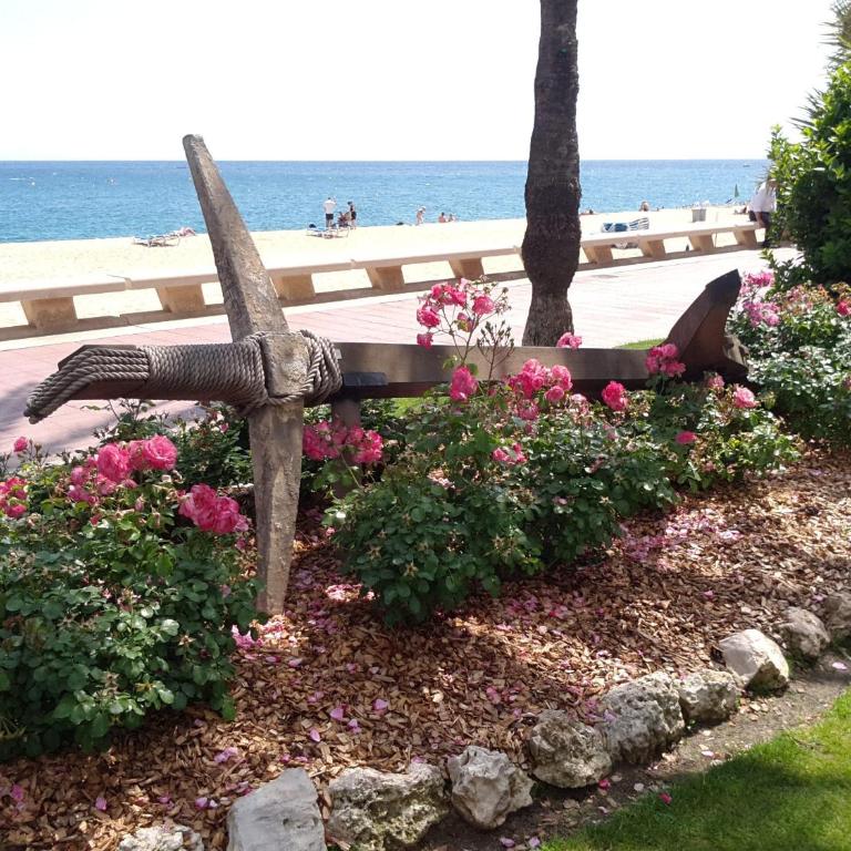 Manuela Beach City - Apartamento de 2 dormitorios - 35