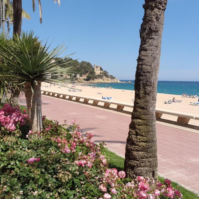 Manuela Beach City - Apartamento de 2 dormitorios - 23