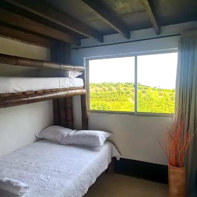 Villa Tikuna - Deluxe Double Room (2 Adults + 1 Child) - 8