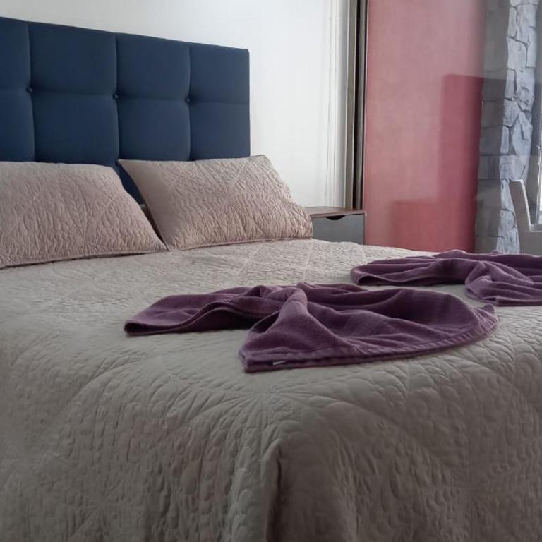 Arriendo departamento Pucón - Apartamento de 2 dormitorios - 8