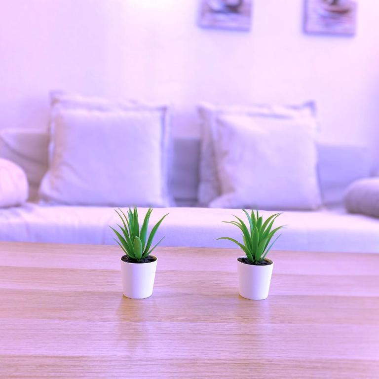 Tropicalidays Cristianos Angel - Apartamento de 1 dormitorio - 21