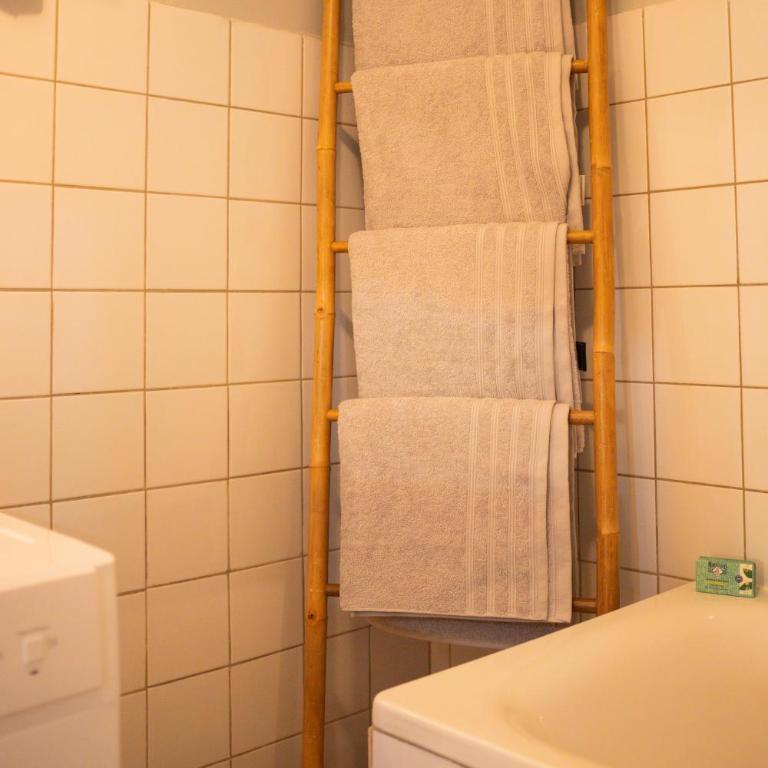 SPA central charmant duplex cosy 90m2 à 300m rue piétonne et 500 m du port - Appartement 1 Chambre - 51