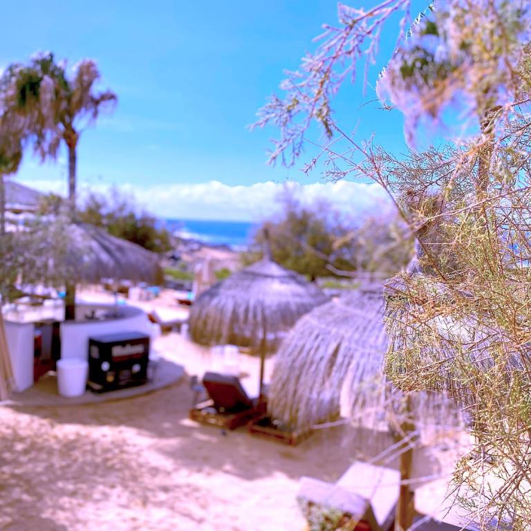 Tropicalidays Las Olas - Apartamento de 2 dormitorios - 46