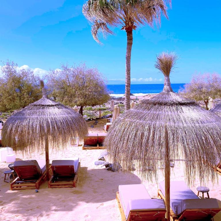 Tropicalidays Las Olas - Apartamento de 2 dormitorios - 50