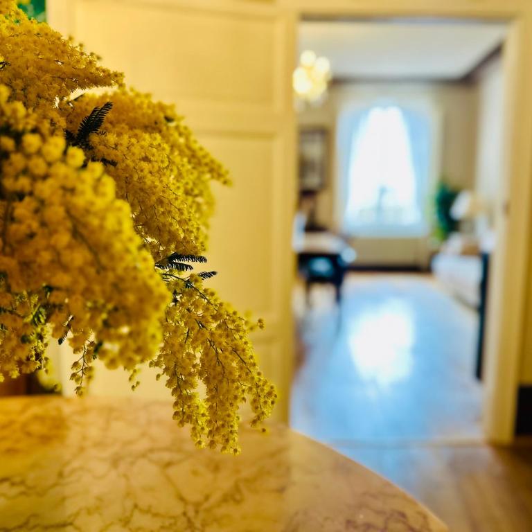 Domus An- Two Bedrooms Apartment -Antique and Historical Home - Two-Bedroom Apartment - 8