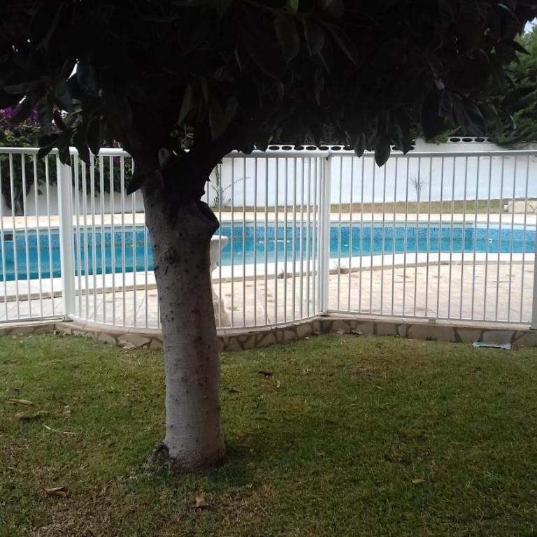 L'EUCALIPTUS - Apartamento de 3 dormitorios - 22