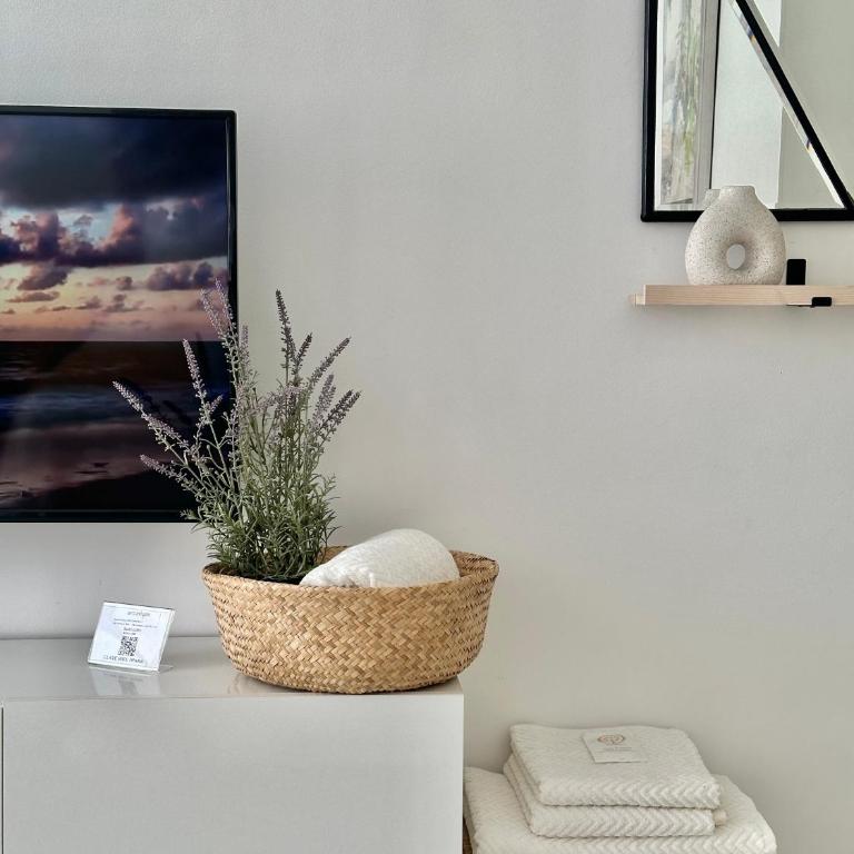 Torremolinos Center Apartment - Estudio - 4