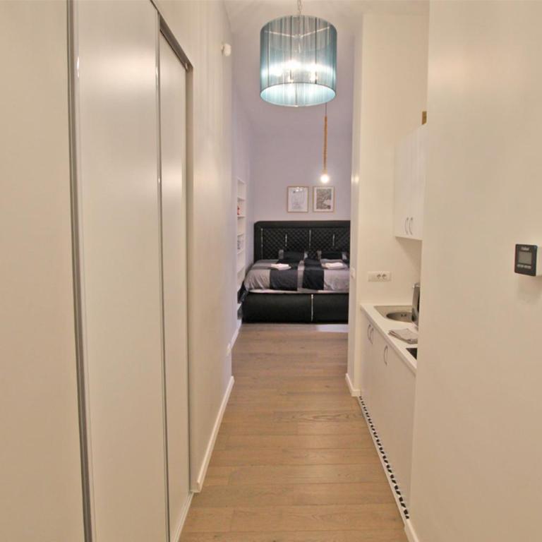 EAST spacious studio apt in the heart of Sarajevo - Apartman sa 1 Spavaćom Sobom - 13