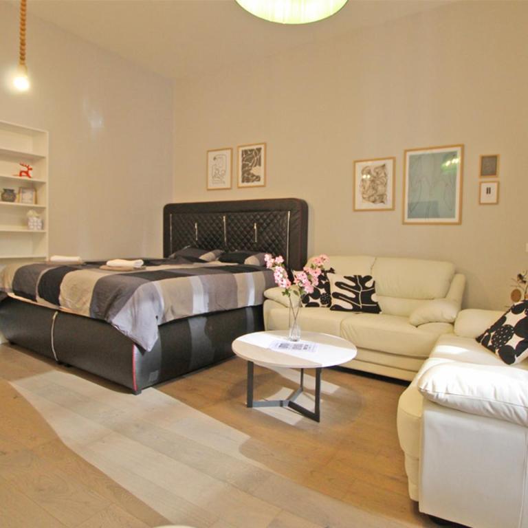 EAST spacious studio apt in the heart of Sarajevo - Apartman sa 1 Spavaćom Sobom - 8