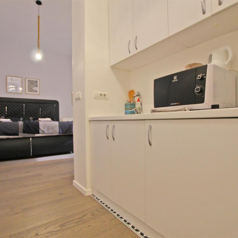EAST spacious studio apt in the heart of Sarajevo - Apartman sa 1 Spavaćom Sobom - 14