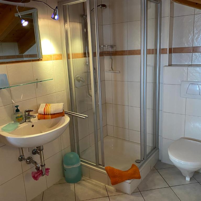 Apartment Landhaus Bachwinkl - 2-Zimmer-Apartment (Nr. 2 Walmbergblick) - 8