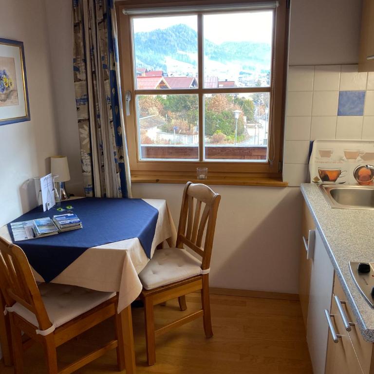 Apartment Landhaus Bachwinkl - 1-Zimmer-Apartment mit Blick auf den Berg Walmberg - 4