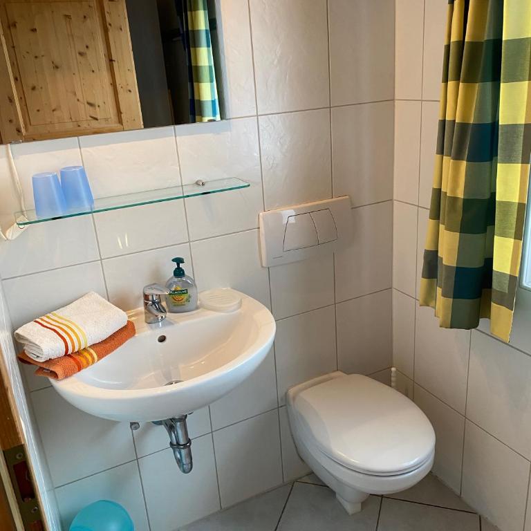 Apartment Landhaus Bachwinkl - 1-Zimmer-Apartment mit Blick auf den Berg Walmberg - 8