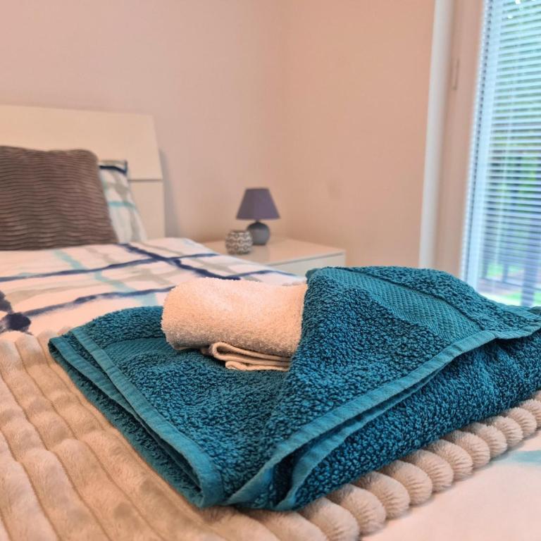 Grand Blue 2 Bedroom Apartment Sokobanja - Two-Bedroom Apartment - 36