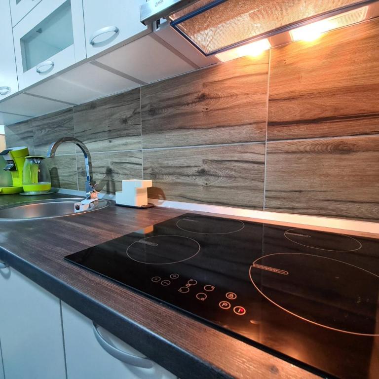 Grand Blue 2 Bedroom Apartment Sokobanja - Two-Bedroom Apartment - 25