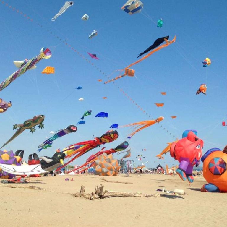 Appartement 2 pièces, au 1er étage pour 2 à 4 couchages, proche commerces et 200m plage de PORTIRAGNES PLAGE LXRH9 - Appartement - 16