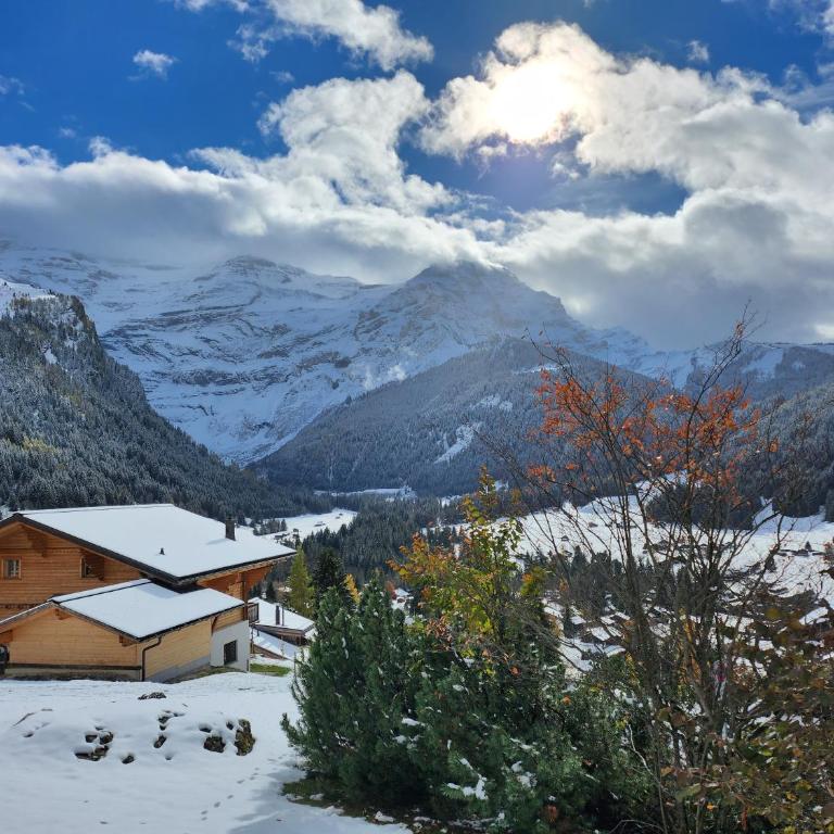 Delightful one bedroom apartment in Les Diablerets - Apartment mit 1 Schlafzimmer - 2