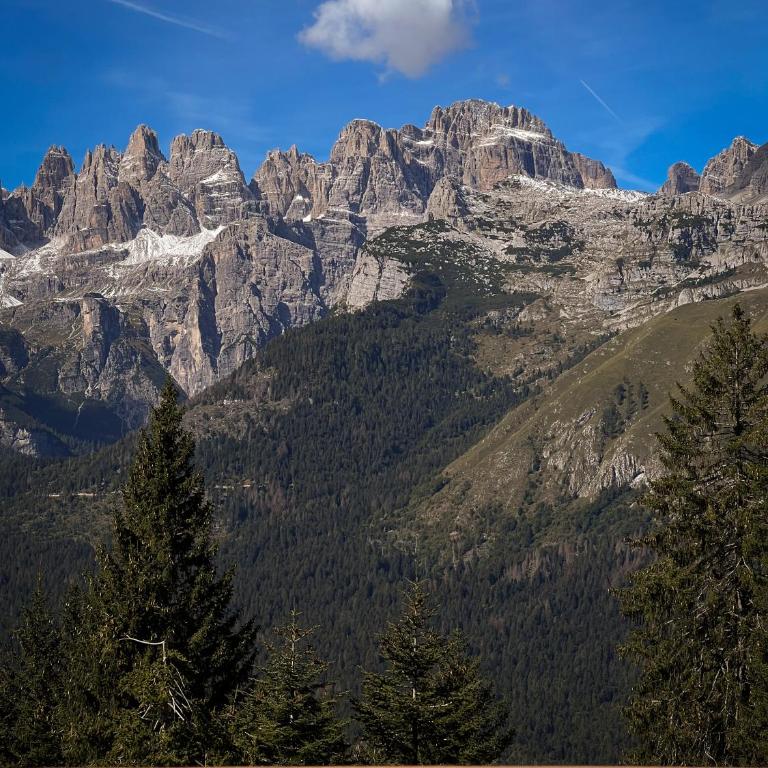 Andalo Mountain L'Abete Dolomites - Appartamento con 2 Camere da Letto - 41
