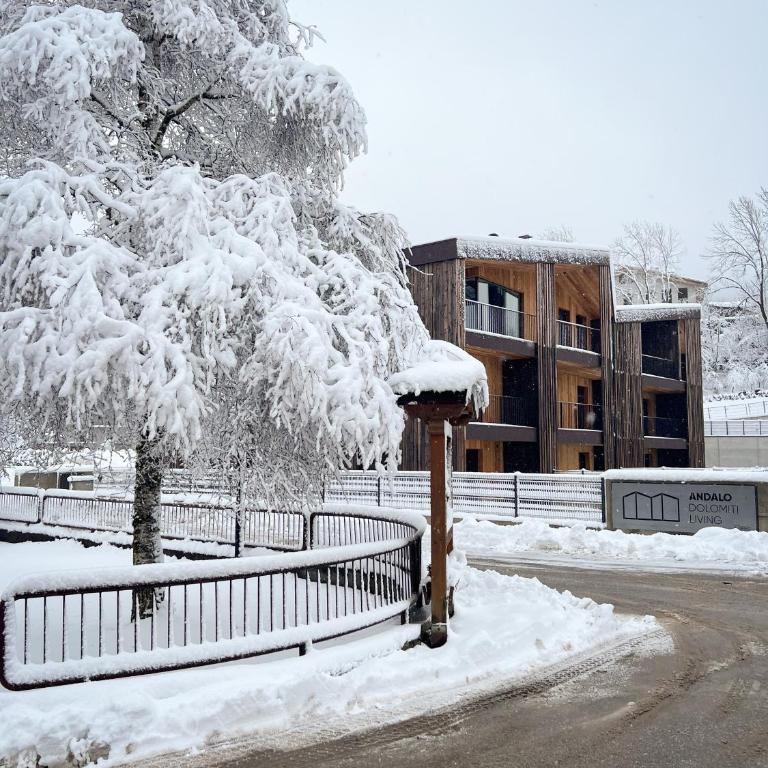 Andalo Mountain L'Abete Dolomites - Appartamento con 2 Camere da Letto - 35