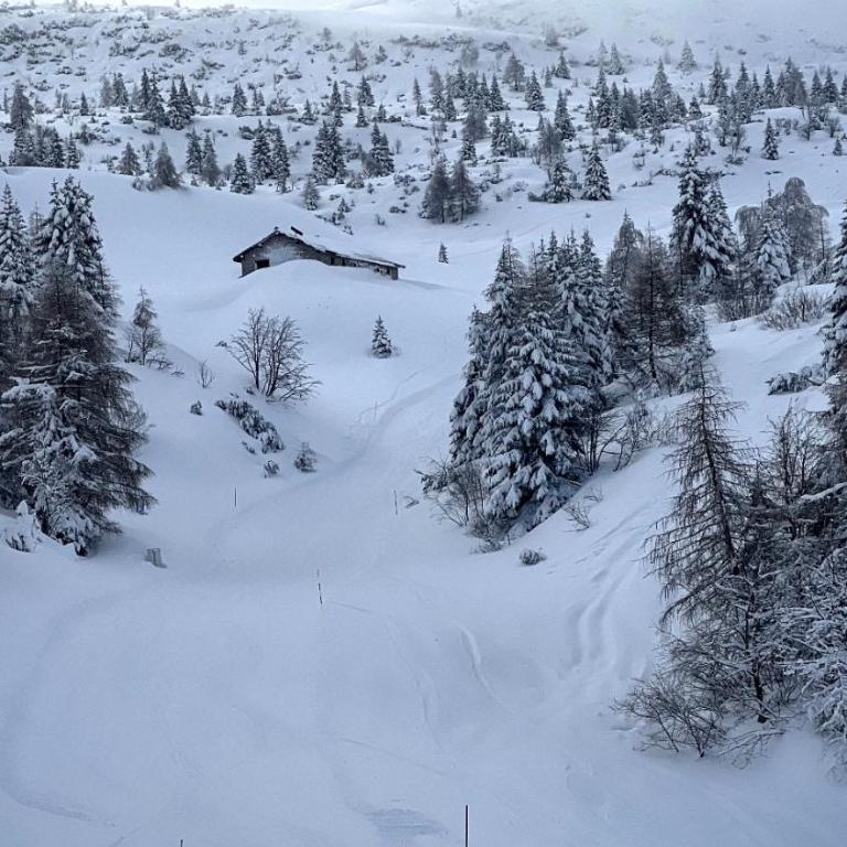 Andalo Mountain L'Abete Dolomites - Appartamento con 2 Camere da Letto - 40