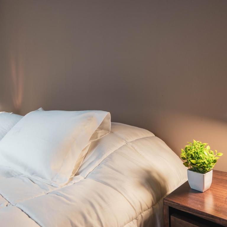 Puerta Condesa, Rooms & Studios - Suite Deluxe - 9